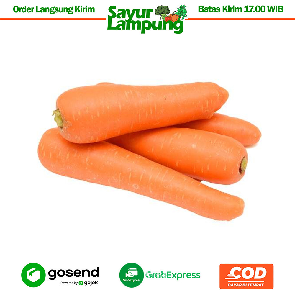 

Wortel Buah Berastagi 1 Kg - Sayur Lampung