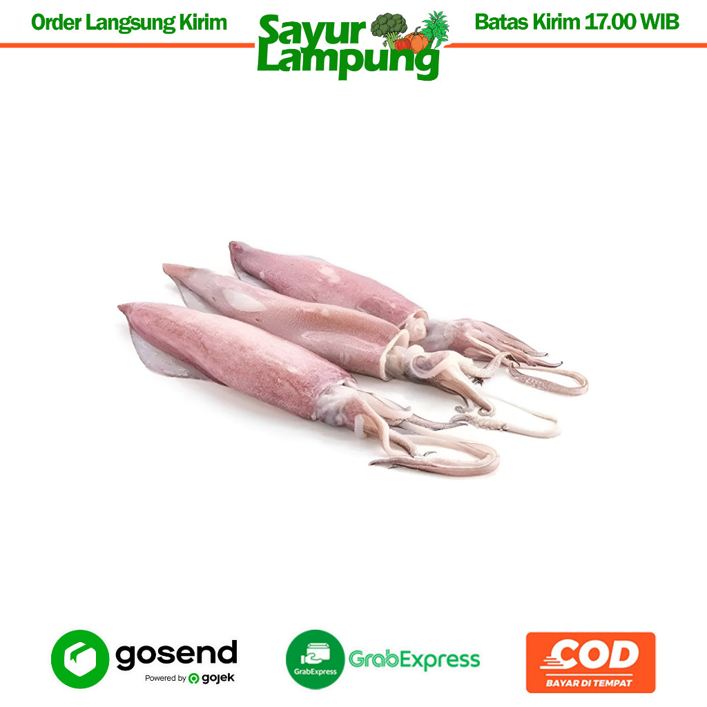 

Cumi Ukuran Sedang 250 Gr - Sayur Lampung