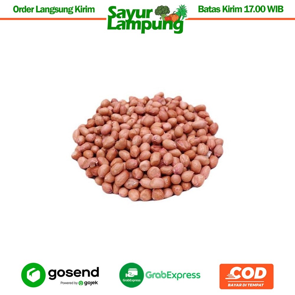 

Kacang Tanah 1 Kg - Sayur Lampung