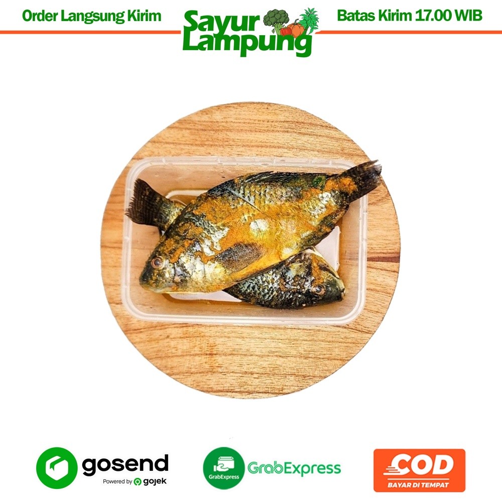 

Ikan Nila Bumbu Kuning 500 Gr - Sayur Lampung