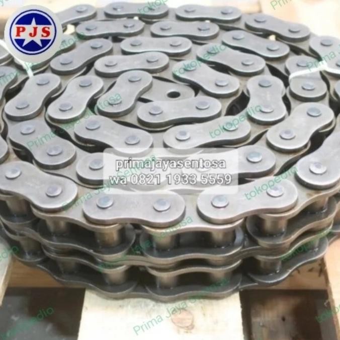 JUAL Rantai / Roller Chain RS 100 X 2 ( double )