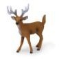 

New Canna White Tailed Deer X2038