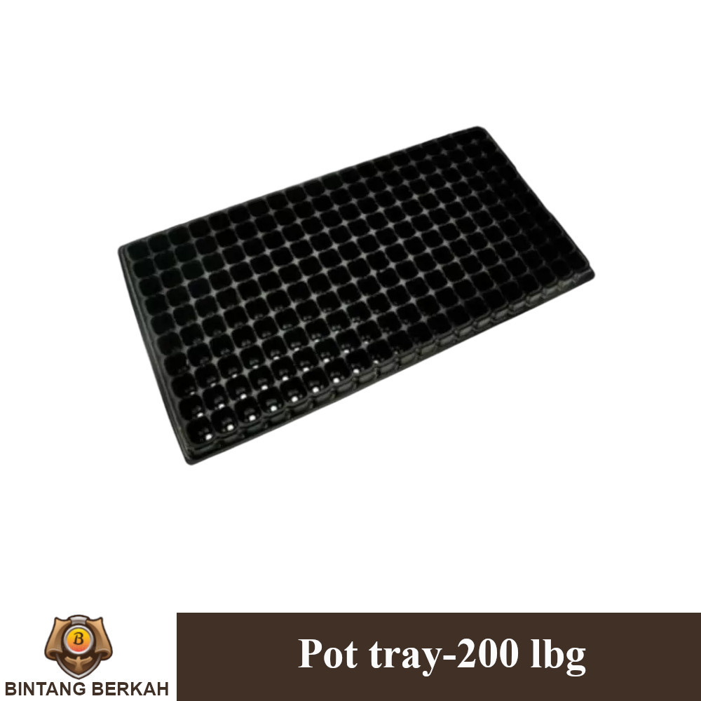 Pot tray Pottray 200 lubang Pertanian