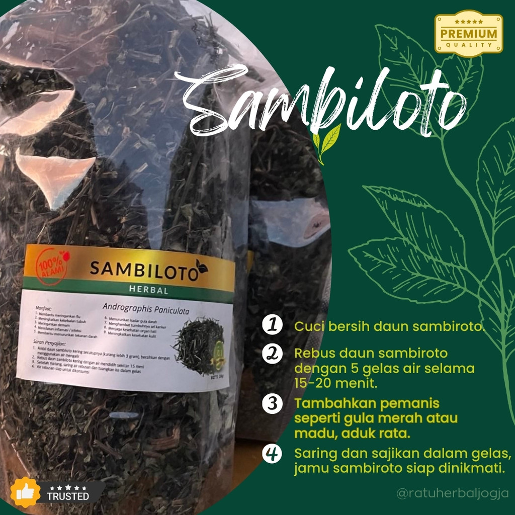 

Promo Premium Herbal Jamu Sambiloto Sambiroto [200gram] Bersih Terlaris Bisa COD