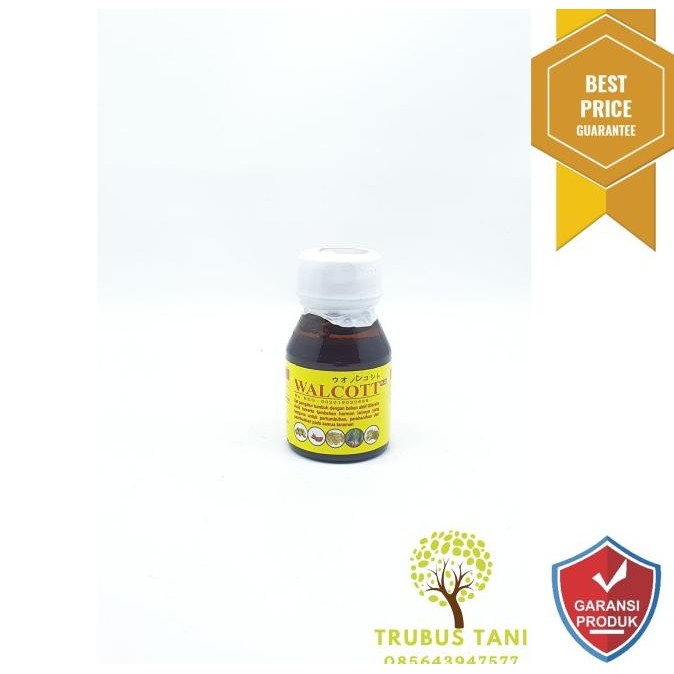 ZPT Perakaran Pembenihan WALCOTT