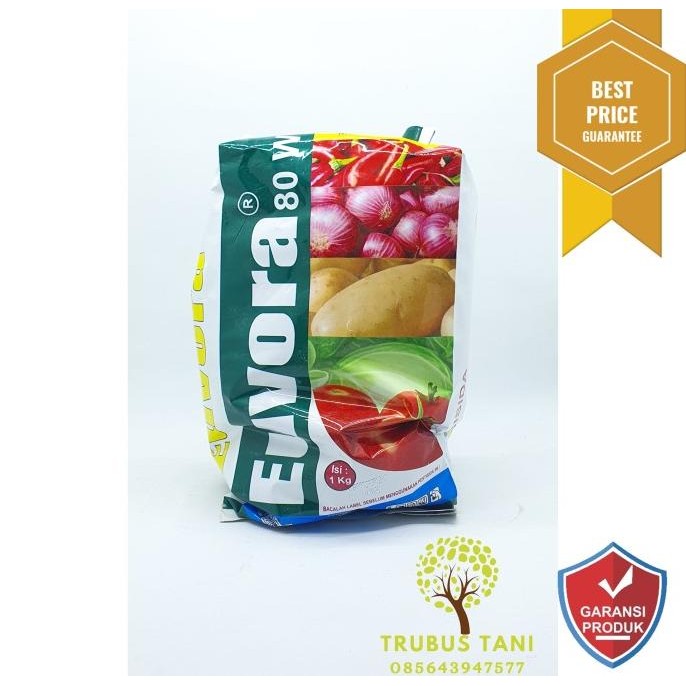 Fungisida Euvora 80WP green 1Kg