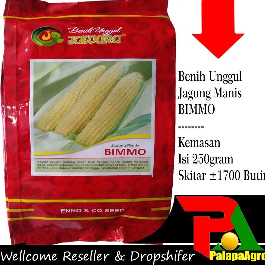 Kk - 1700 Butir - Jagung Manis - Benih Bibit Biji Sayuran Buah Unggul Jagung Manis GULAKU 250gram