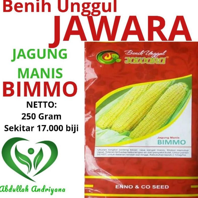 Kk - Benih Jagung Manis BIMMO 250 Gram Sekitar 1700 Biji Bibit Jagung  Unggul Produk  JAWARA
