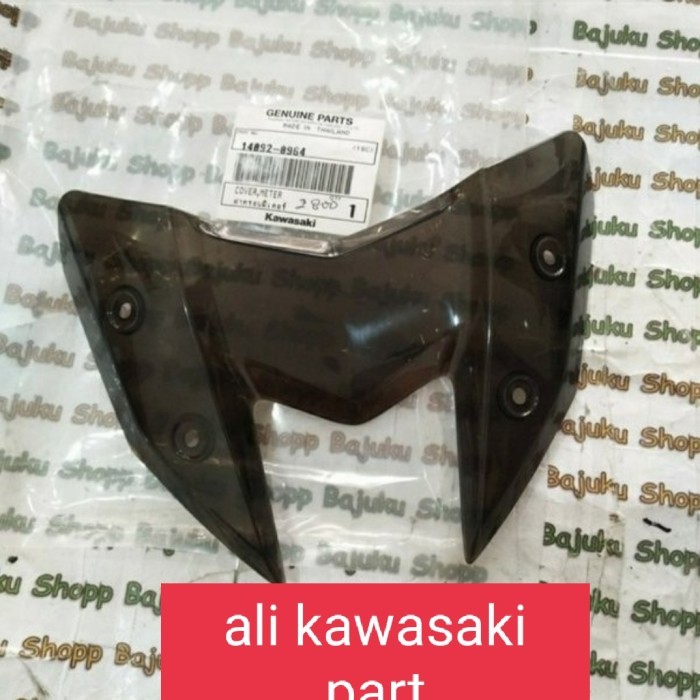 winsil/winshield/visor z800 z 800 original