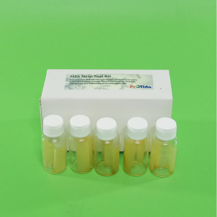Sale Water Test Kit. Bakteri Patogen Test Strip H2S Untuk 10 Test Per Pkg