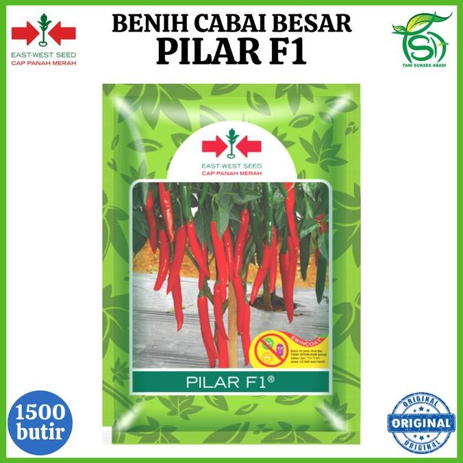 Benih Cabai Besar PILAR F1 1500 Biji - Bibit Cabe Cap Panah Merah