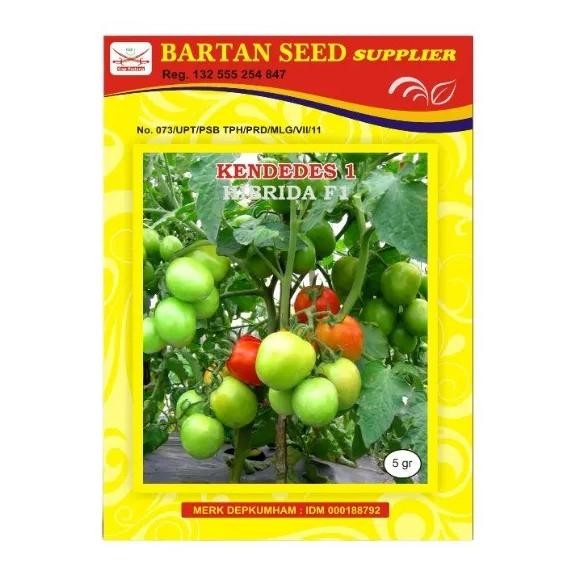 Kendedes Dt 10 Gr Benih Tomat Hibrida F-1 Produk Original Pabrik