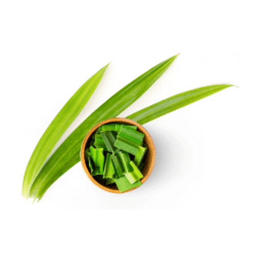 

Daun Pandan 100g oFresh Batam