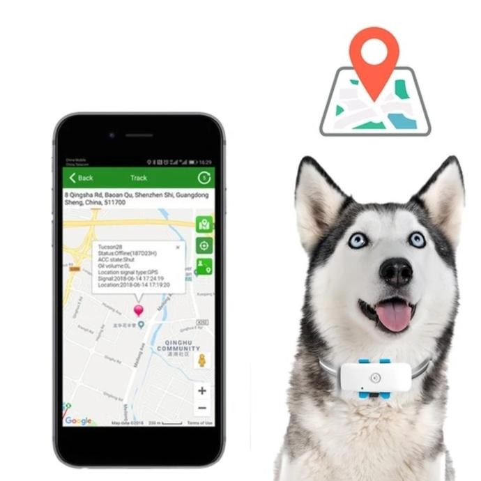 

GPS 4G C032 COLLAR PET DOG CAT TRACKER WATERPROOF LONG STANDBY ORIGINAL