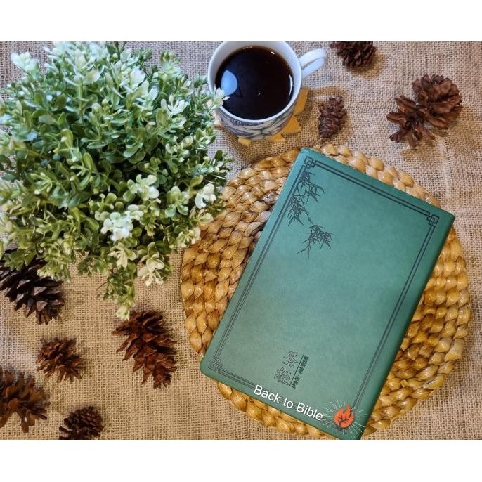 Alkitab Mandarin Tulisan besar/Chinese Bible/ Soft Cover