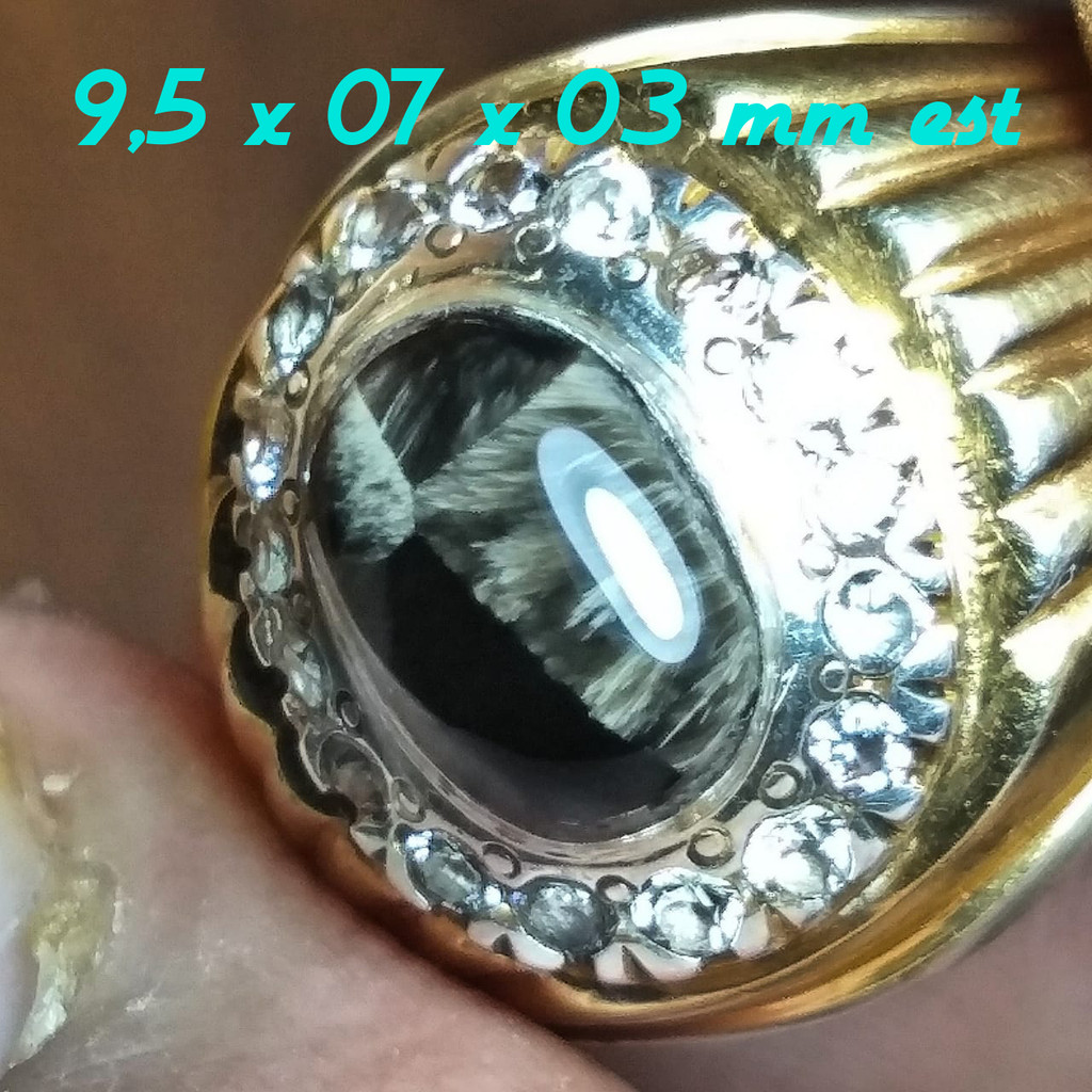 BML Asli Motif Tapak Liman Segi Lima dengan Ring Perak Murni HM Gold Platted dan Zircon