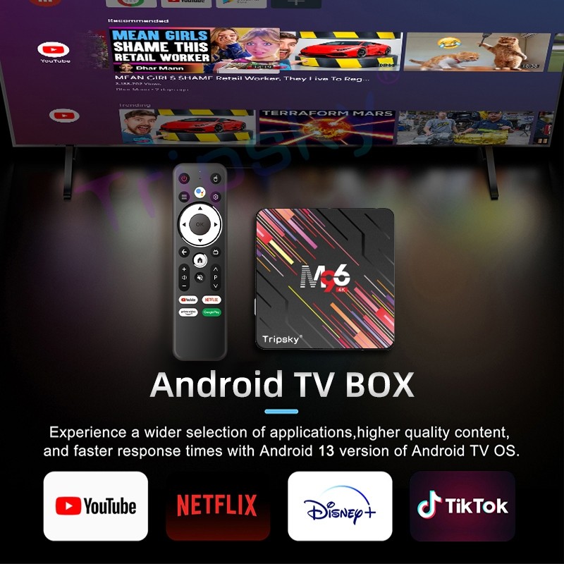 Tripsky M96 Android tv box Ram 4gb Rom 64gb Remote Voice Support Bluetooth Tv Box Android 10 4K FULL