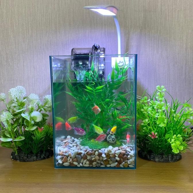 Aquarium Desktop Aquarium Cupang Aquarium mini Aquascape Paludarium 06 TD