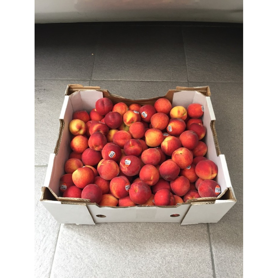 

Buah Peach Yellow Australia 1 Dus (10 KG) Fresh Import