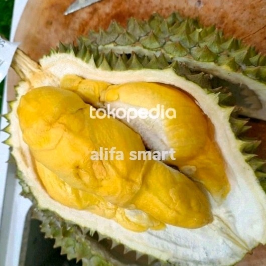 

Durian Bawor Fresh Utuh Per Buah