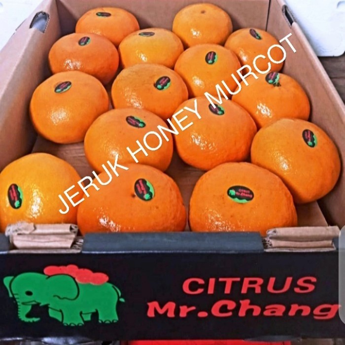 

JERUK HONEY MURCOT FRESH PER 1 DUS BERAT -+9 KG