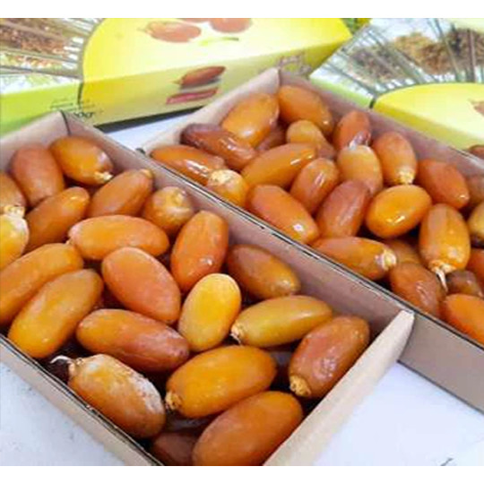 

KURMA RUTHOB 1 KG / KURMA RUTHOB LIBYA