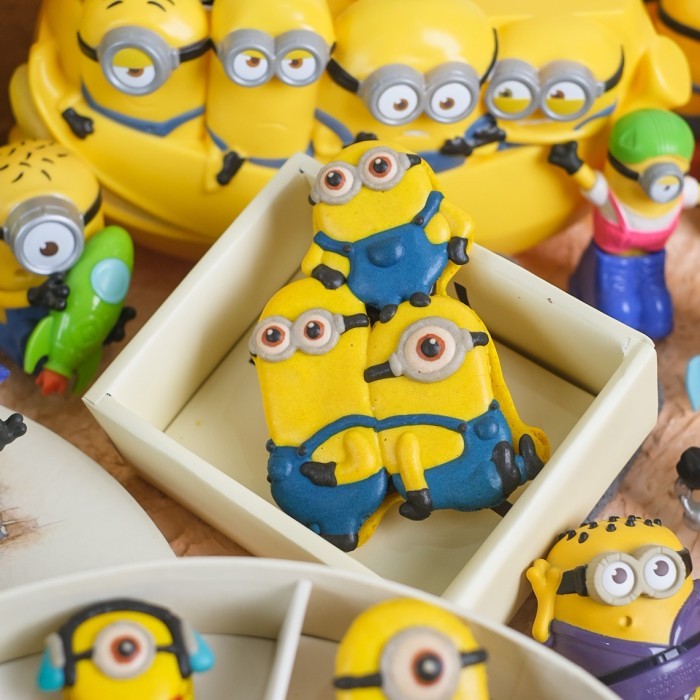 

Minions goodies