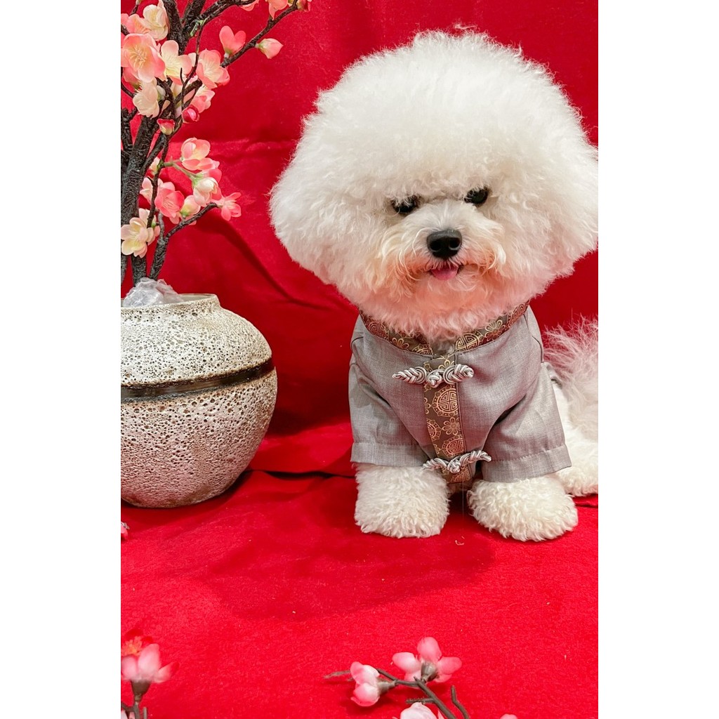 Diskon Baju Anjing Cheongsam Imlek Jantan Grey Premium