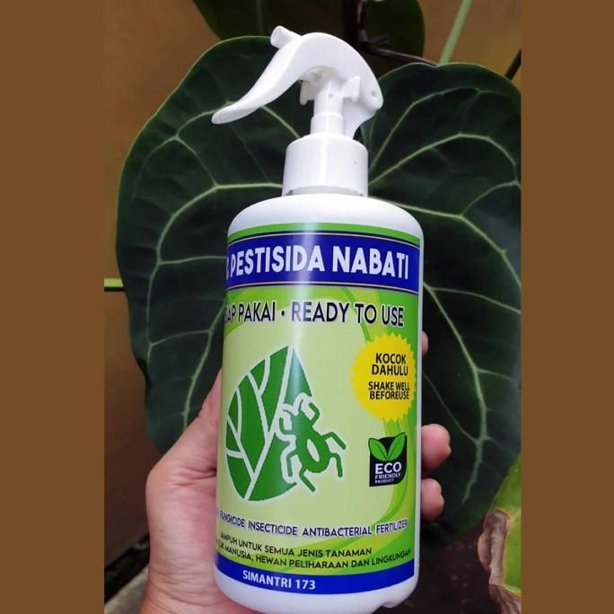 Pestisida Organik Cair | Pestisida Nabati Anti Hama Dan Jamur Tanaman [terbaik]