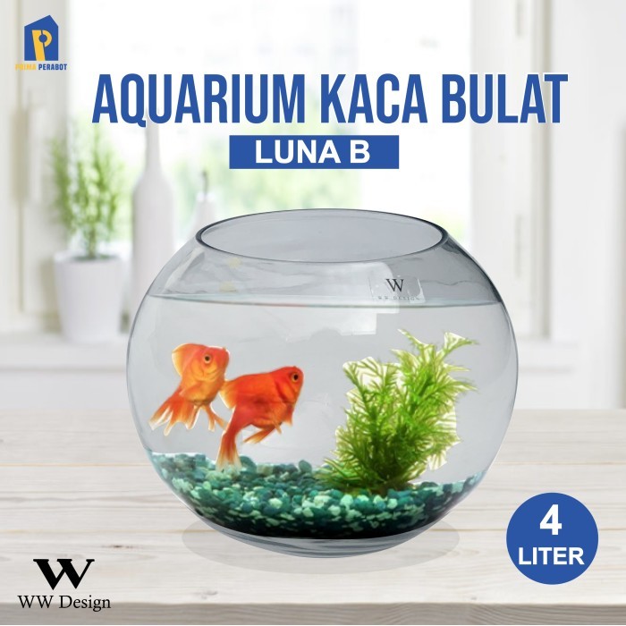 Aquarium Bulat Kaca Luna B 4.0 Liter / Wadah Ikan Cupang
