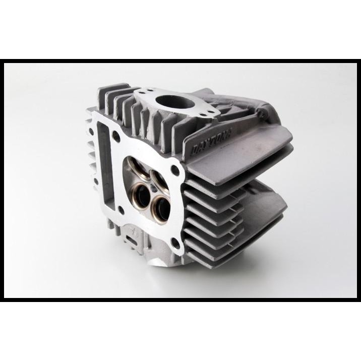HEAD, CYLINDER DAYTONA ANIMA
