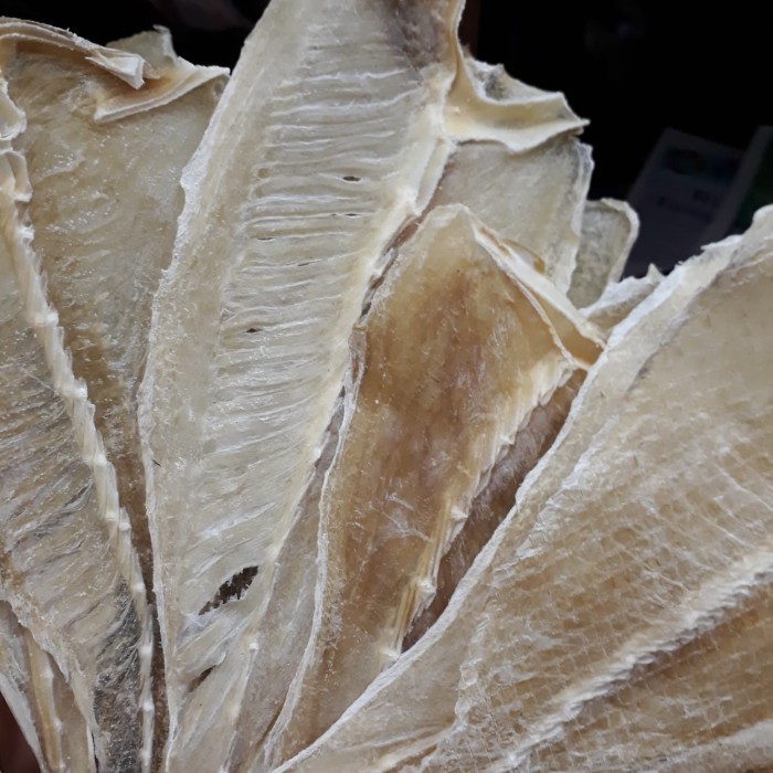 

IKAN PARI MEDAN 250GRAM