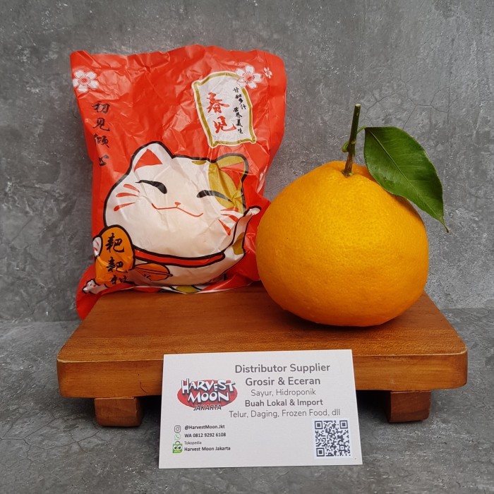 

Harvestmoon Jeruk Papagan Fortune Dekopon Per Kg Original