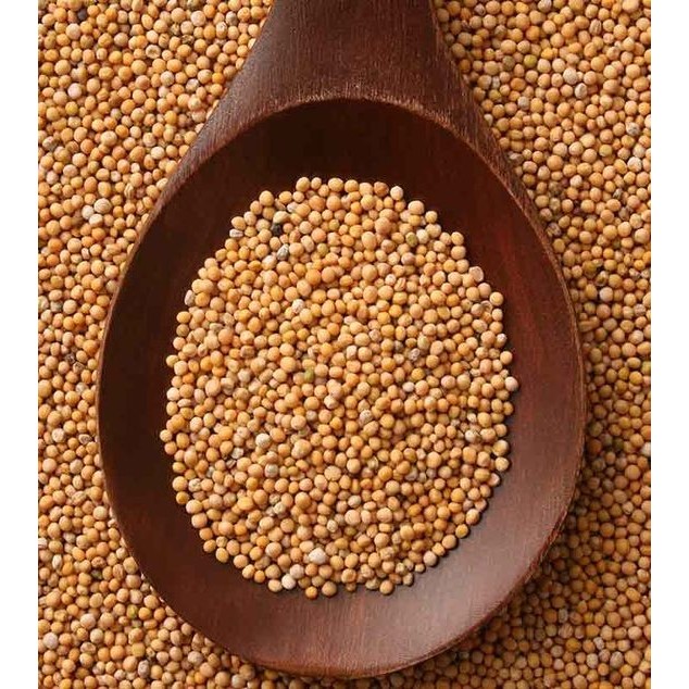 

YELLOW MUSTARD SEEDS / BIJI SAWI MUSTARD (KUNING) 1 KG