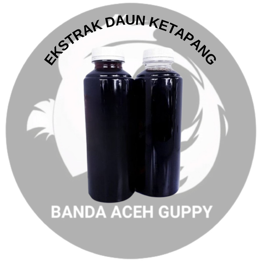 BAG - EKSTRAK DAUN KETAPANG CUPANG CHANNA / EXTRACT DAUN KETAPANG