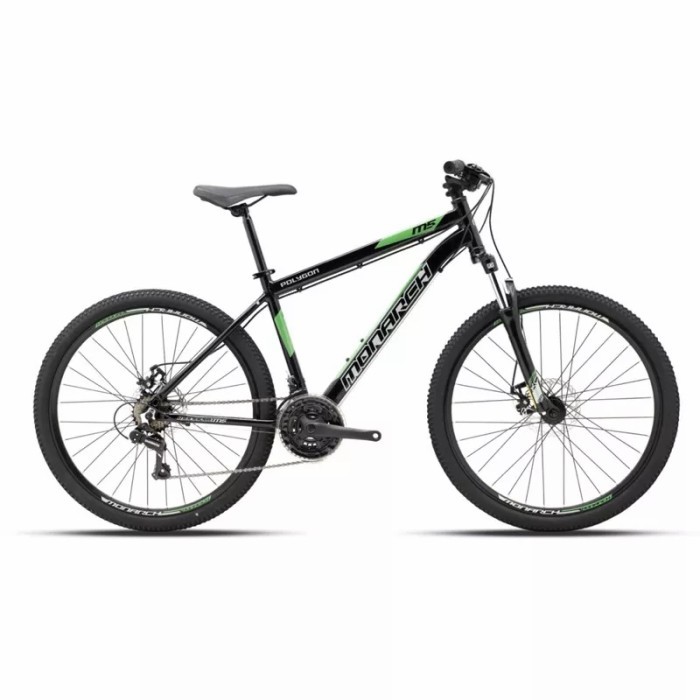 MTB Polygon Monarch 5.0 26inch