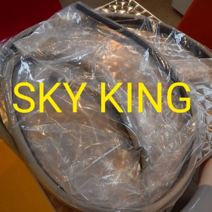 Karet Body Pintu Depan Land Cruiser LandCruiser LC VX 80 VX80 LC80