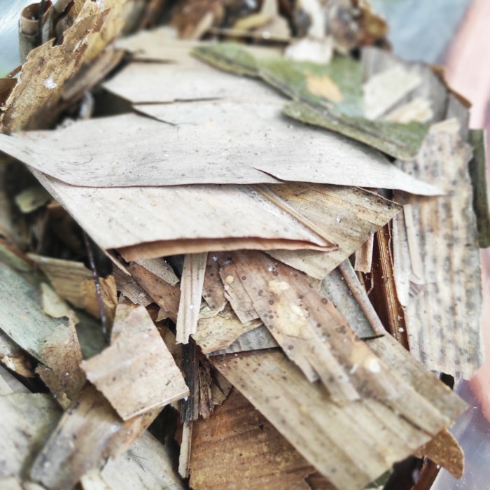 Daun Bambu / Media Tanam Daun Bambu Kering