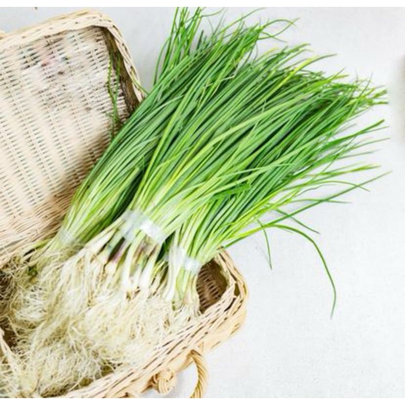 

Daun Bawang 100 gr Fresh Instan Surabaya