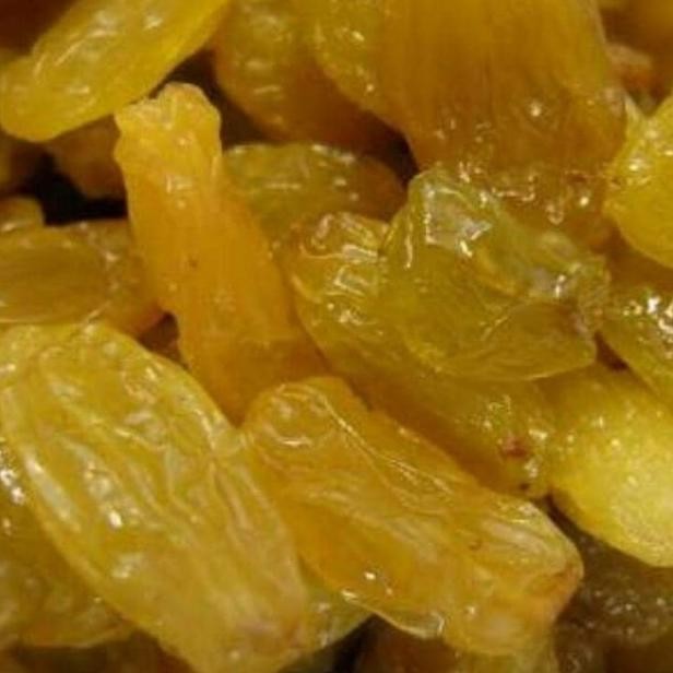 

I Jumbo Gram I Lion Ualita Terbai Epd 2023