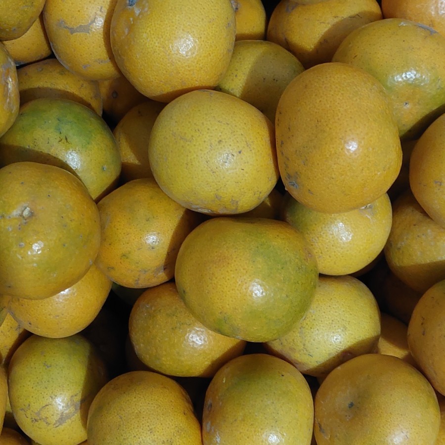 

Jeruk Madu Malang 1kg