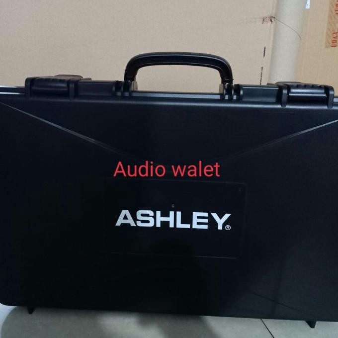 Promo Mic Wireless Ashley Rcm Series System Charger /Rechargeable