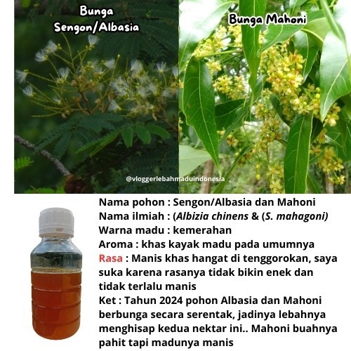 

Nektar Bunga SENGON & MAHONI 500gram Madu Hutan Liar Organik Asli Murni 100% Tanpa Campuran apa pun