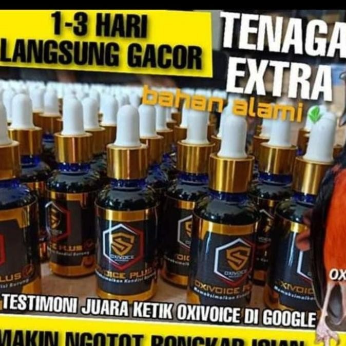 Oxivoice Plus Vitamin Burung Murai Batu Dan Burung Kicau Lainnya