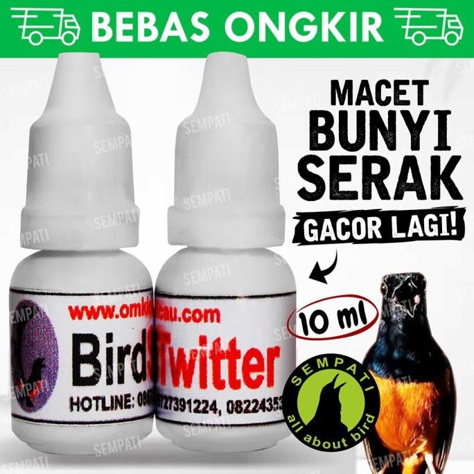 Bird Twitter Om Kicau Obat Burung Sakit Serak Sesak Nafas Macet Bunyi