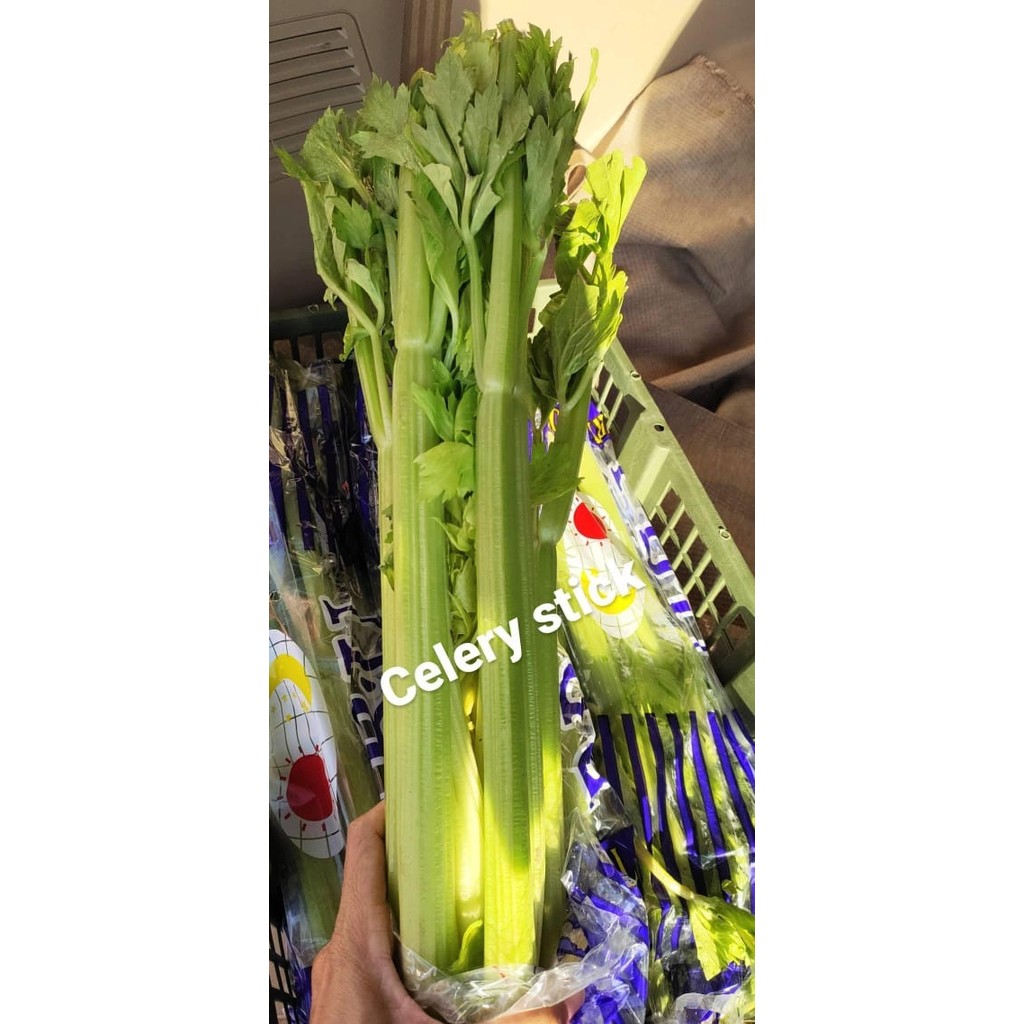 

TERUJI Celery Stick Import Seledri Import 1 kg