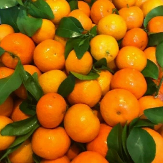 

SALE! JERUK SANTANG /KG IMPORT