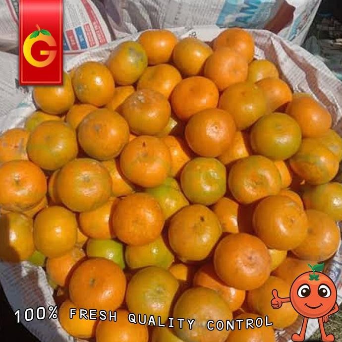 

SALE! PROMO JERUK MEDAN SUPER MANIS DAN FRESH - 5 KG