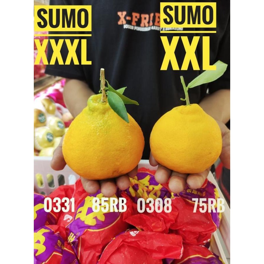 

SALE! BUAH JERUK KUPAS SUMO DEKOPON SPRING KOREA CITRUS KERANJANG