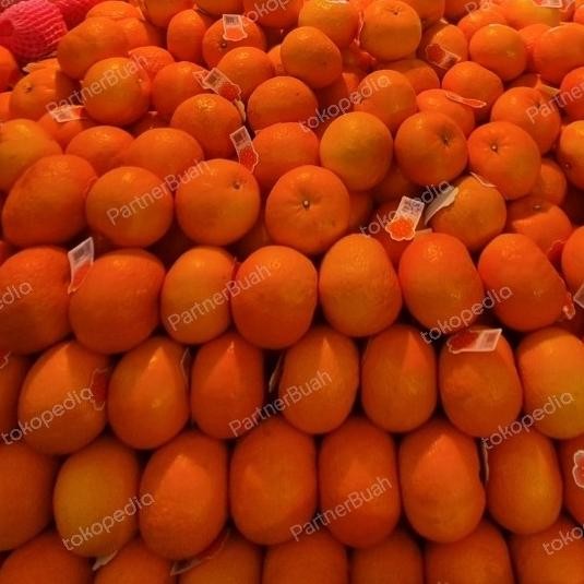 

SALE! JERUK MIKAM SWEET BANYAK AIR 1 KG